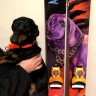 ThanosDog