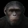caveman31