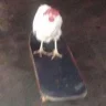 kaicycle