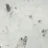 123ski