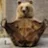 BEARS.