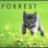 Forrest.