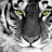 TinyTigers