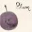 SpiritualPlum
