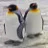 penguin_steeze