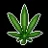 Maximili420