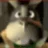 Peppy