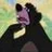 Baloo