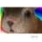 hUcKbUnNi3