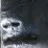 GORILLA.