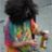 hippy.