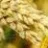 Wheat