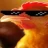 neleson
