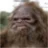 RoidedSasquatch