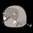 The_Walrus