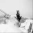 Revelstoke