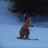 ColoradoDogfart