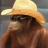 ReturnToMonkey