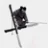 SkiCrzy