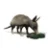 armadillo