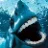 Shark.