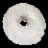 Powdered_Donuts