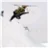 beardy_wengen
