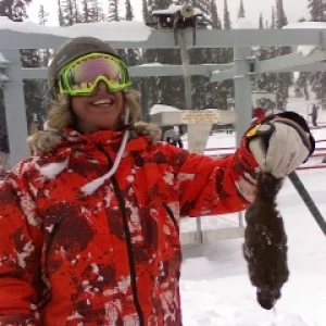 Mr. squirrel was too slow...