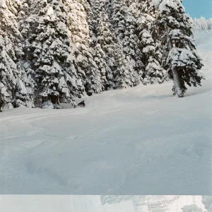 Pow day