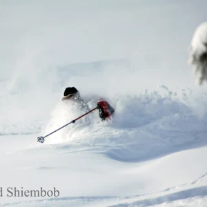 Finally some more snow