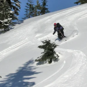 Carving Virgin Snow
