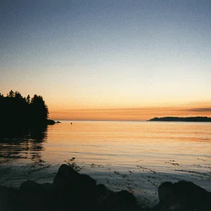 Bamfield Sunset