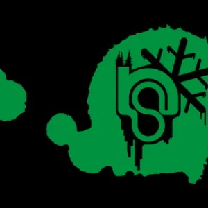 Some logo 2 (corel draw)