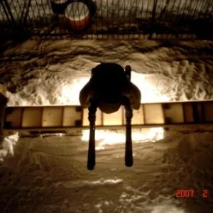 Back yard box - which one do u like better?