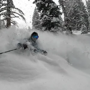 Early season Brighton pow