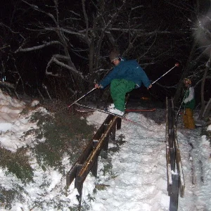 First urban rail, its made of trees