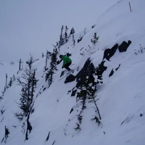 Whistler drop