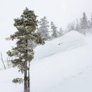 Blade Glade Pow Turns 2/28