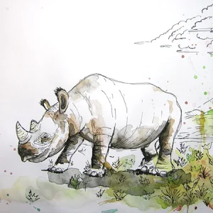 Rhino sketch