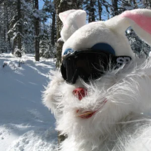 Finding the Easter Bunny in Ripsaw @ the loaf