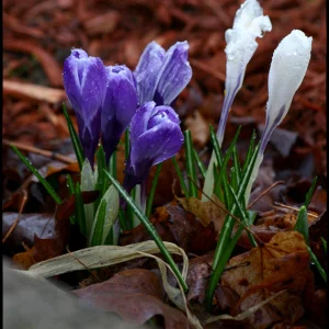 Because it's expected..