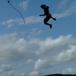 Rope swing last year