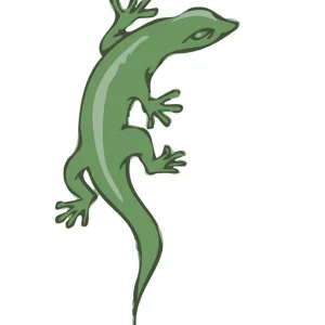 Gecko!