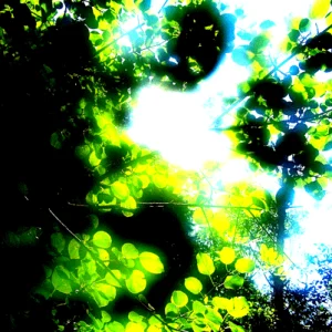 Little Bit Different