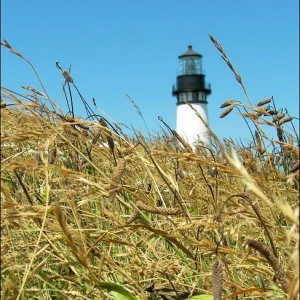 Yaquina Head Lighthouse