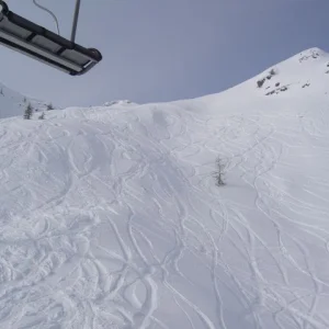 Powder
