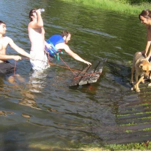 Lets sink it a little more