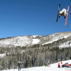 Under side of a cork 3