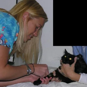 What I do when I am not skiing