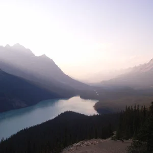 Peyto Glacier Area